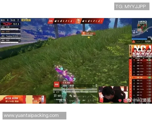 和平精英焦点JDG战队配合策略分析与实战经验分享 和平精英焦点JDG战队配合策略分析与实战经验分享