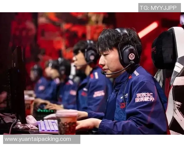 esports数据青年赛特别报道JDG战队的拼搏历程与荣耀之路